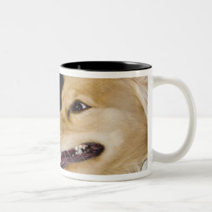 Caneca De Café Em Dois Tons mistura de cocker spaniel em sua parte traseira
