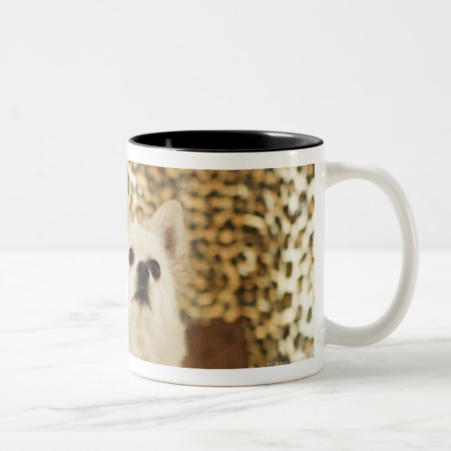Caneca De Café Em Dois Tons Mistura de Pomeranian (Direita)