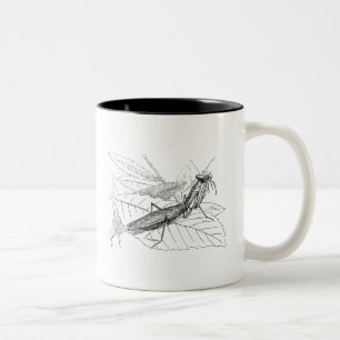 Caneca De Café Em Dois Tons Modelo do inseto da louva-a-deus Praying do