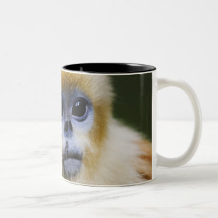 Caneca De Café Em Dois Tons Montanhas de Qinling, em outubro de 2006