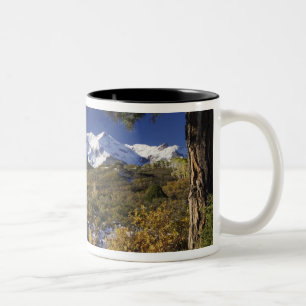 Caneca De Café Em Dois Tons Montanhas de San Juan e árvores Aspen em fallcolor