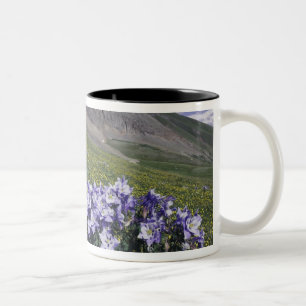 Caneca De Café Em Dois Tons Montanhas e flores silvestres em prado alpino, Azu