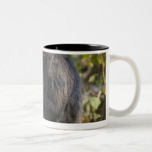 Caneca De Café Em Dois Tons Montanhas parque nacional de Mahale, Tanzânia