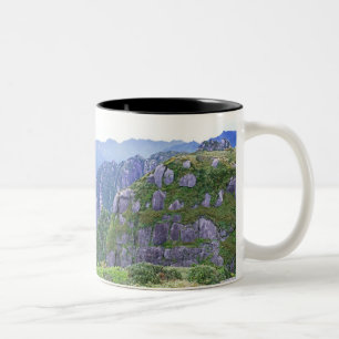 Caneca De Café Em Dois Tons Monte Nagata, Yakushima, Kagoshima, Japão