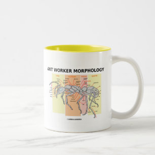 Caneca De Café Em Dois Tons Morfologia do trabalhador da formiga