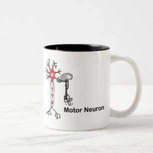 Caneca De Café Em Dois Tons Motor Neuron