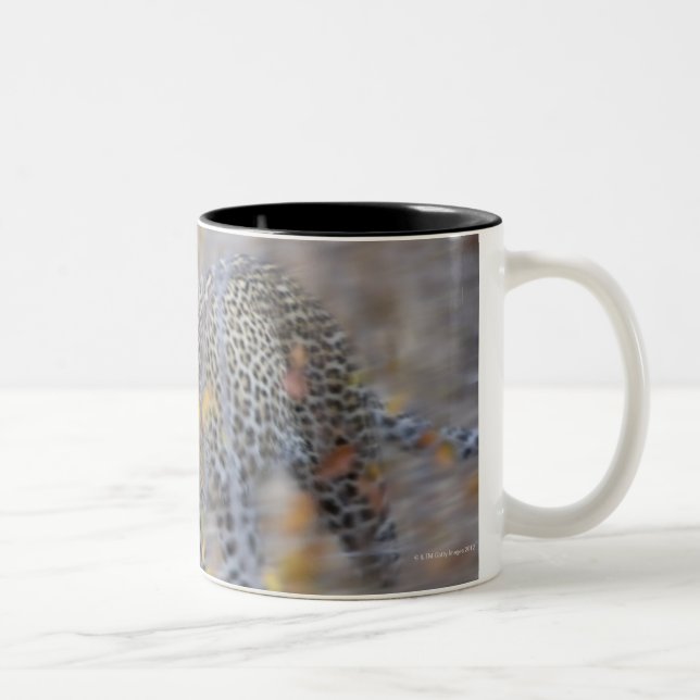Caneca De Café Em Dois Tons movimento borrado (Direita)
