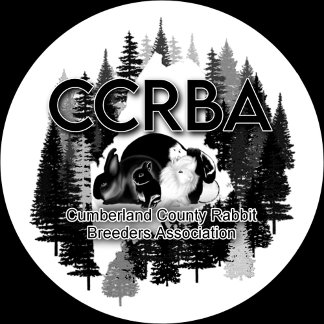 Caneca De Café Em Dois Tons Mug