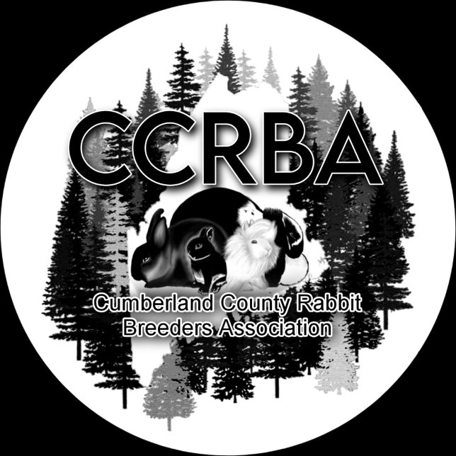 Caneca De Café Em Dois Tons Mug (Criador carregado)