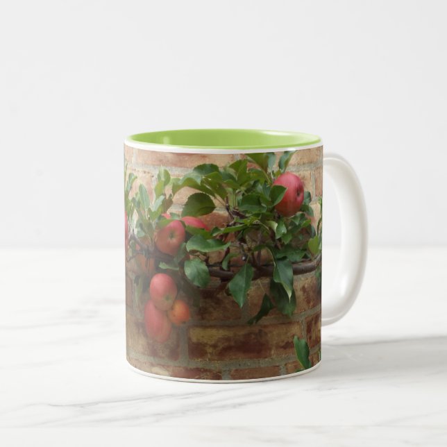 CANECA DE CAFÉ EM DOIS TONS MUG COM MAÇÃS CRESCENDO EM BRICK WALL ESPALIER (Frente Esquerda)