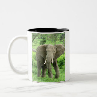 Caneca De Café Em Dois Tons Mug de Elefantes Africanos