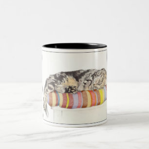 Caneca De Café Em Dois Tons Mug de Gato Relaxado