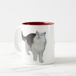 Caneca De Café Em Dois Tons Mug - Gato Preocupado