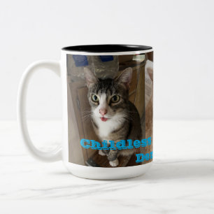 Caneca De Café Em Dois Tons Mulheres de Gato Sem Fios pela Democracia