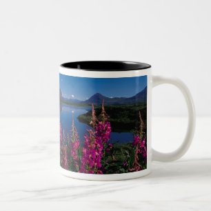 Caneca De Café Em Dois Tons N.A., EUA, Alasca, Alaska Range Comum