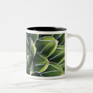 Caneca De Café Em Dois Tons N.A., EUA, Arizona, Tucson, Sonora Desert
