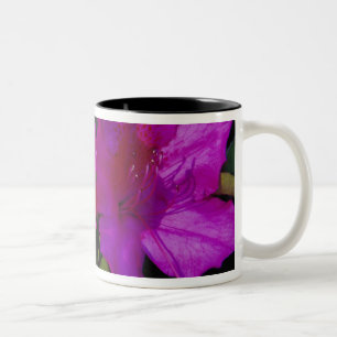 Caneca De Café Em Dois Tons N.A. EUA, Geórgia, Savannah. Azaléia em flor.
