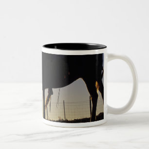 Caneca De Café Em Dois Tons N.A., EUA, Oregon, Seneca, rancho de Ponderosa,