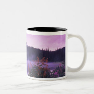 Caneca De Café Em Dois Tons N.A., EUA, Washington, Mt. Rainier Nacional