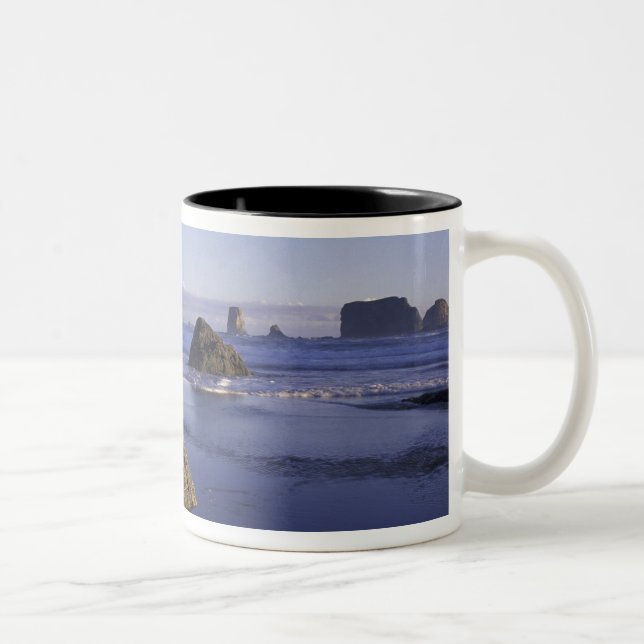 Caneca De Café Em Dois Tons N.A., EUA, Washington, Parque Nacional Olímpico, 3 (Direita)