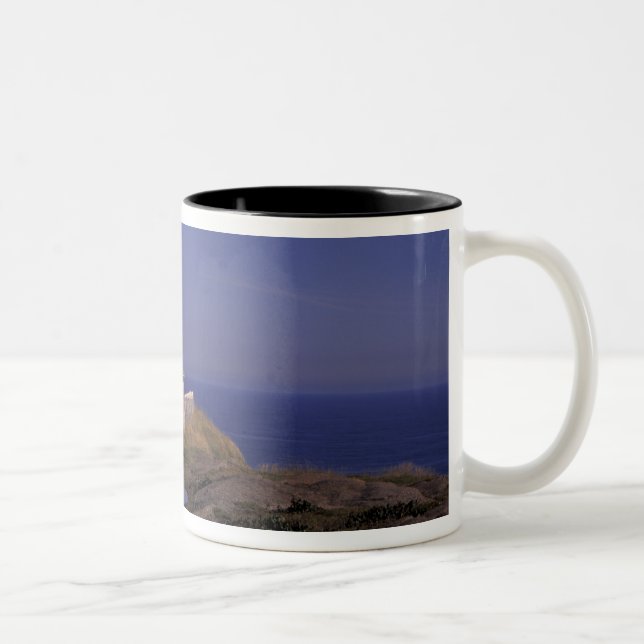Caneca De Café Em Dois Tons NA, Canadá, Terra Nova, Cabo Spear. Antigo Cabo (Direita)