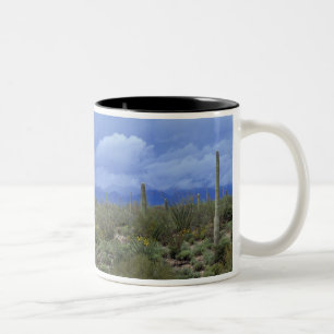 Caneca De Café Em Dois Tons NA, EUA, Arizona, Monumento Nacional Saguaro,