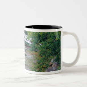 Caneca De Café Em Dois Tons NA, EUA, Maine. Ponte sobre lago em Somesville.