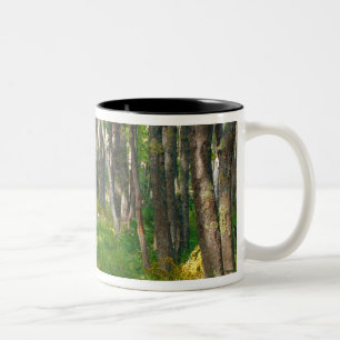 Caneca De Café Em Dois Tons NA, EUA, Maine. Trilha Jessup no Parque Nacional