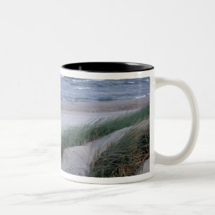 Caneca De Café Em Dois Tons NA, EUA, Michigan, Condado de Berrien, St. Joseph,