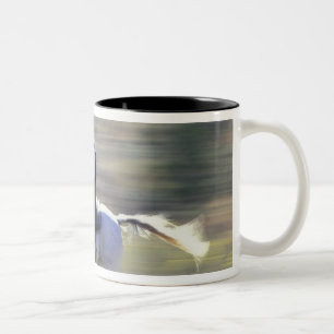 Caneca De Café Em Dois Tons NA, EUA, Oregon, Seneca, Ponderosa Ranch, Cowboy