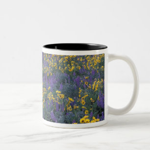 Caneca De Café Em Dois Tons NA, EUA, Washington Dalles, Lupino e