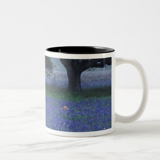 Caneca De Café Em Dois Tons NA, Texas, Devine, Carvalho e bonnets azuis (Direita)