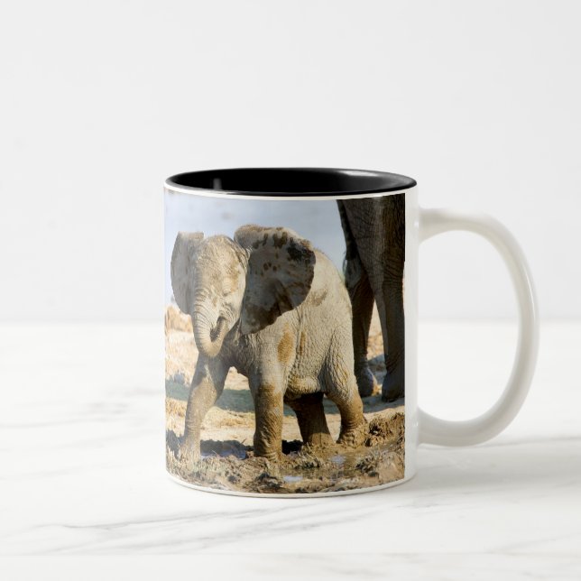 Caneca De Café Em Dois Tons Namíbia, África: Bebê Elefante Africano (Direita)