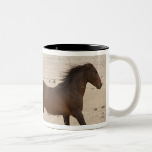 Caneca De Café Em Dois Tons Namíbia, Aus. Cavalos selvagens correndo no Namibe