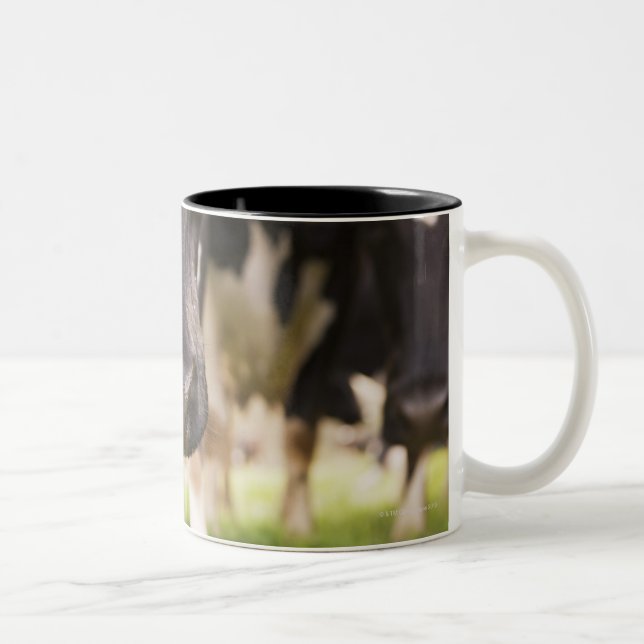 Caneca De Café Em Dois Tons Nariz da vaca (Direita)