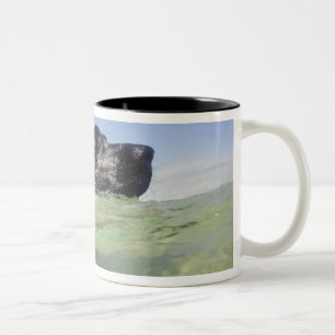 Caneca De Café Em Dois Tons Natação do cão na água