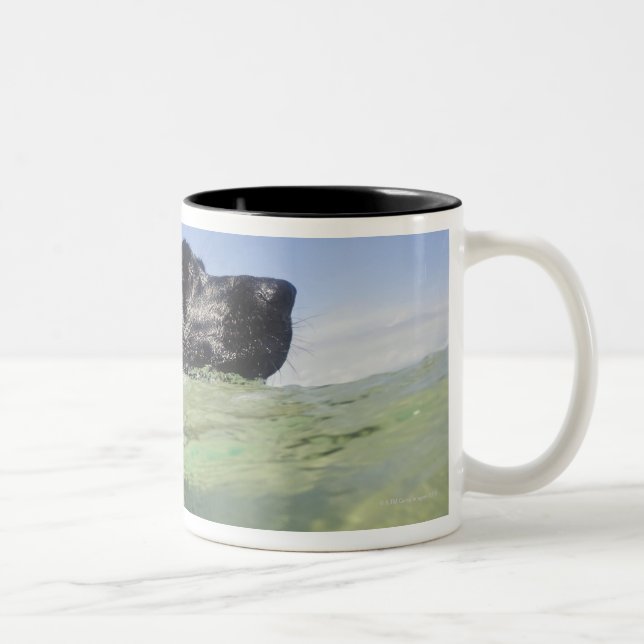 Caneca De Café Em Dois Tons Natação do cão na água (Direita)