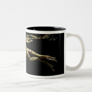 Caneca De Café Em Dois Tons natação do sapo na obscuridade apenas abaixo da
