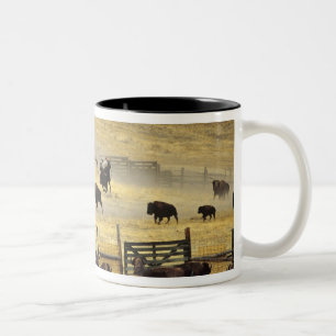 Caneca De Café Em Dois Tons National Bison Range Roundup em Montana