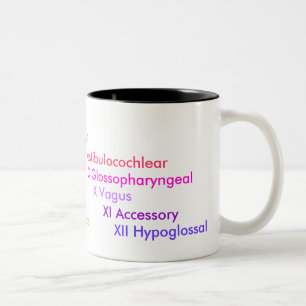 Caneca De Café Em Dois Tons Nervos cranianos
