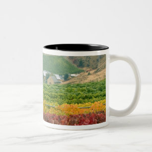 Caneca De Café Em Dois Tons Nevoeiro rasteja sobre a Gehring Brothers Winery a