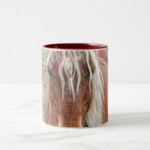 Caneca De Café Em Dois Tons New Forest Pony de Hampshire Inglaterra