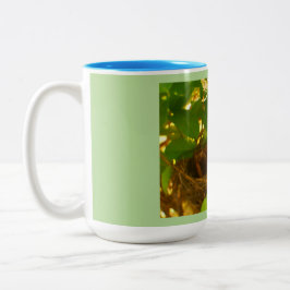 Caneca De Café Em Dois Tons Ninho de passarinho