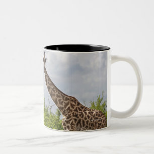 Caneca De Café Em Dois Tons No safari em Tanzânia, África. 2