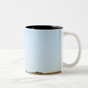 Caneca De Café Em Dois Tons Northumberland, Inglaterra