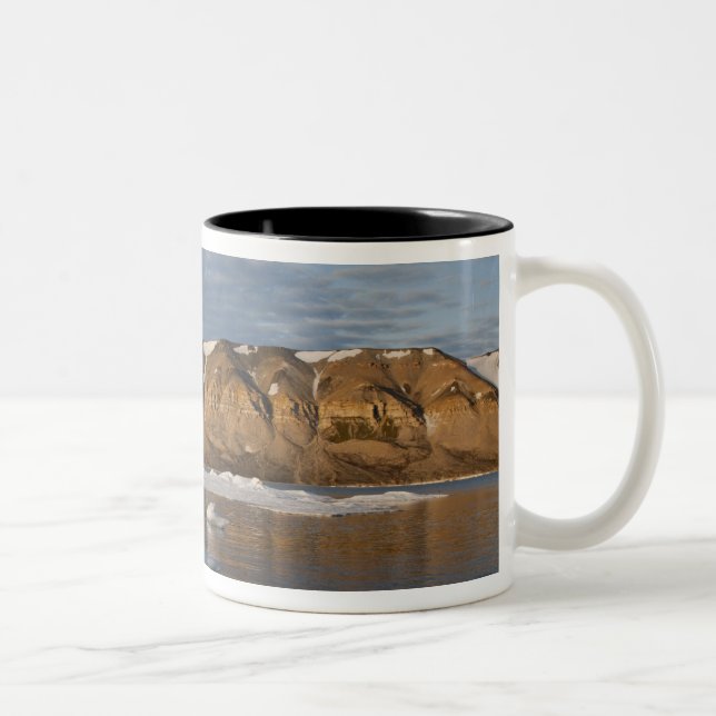 Caneca De Café Em Dois Tons Noruega, Svalbard, Ilha Spitsbergen, Configuração (Direita)