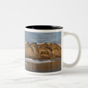 Caneca De Café Em Dois Tons Noruega, Svalbard, Ilha Spitsbergen, Pôr do sol