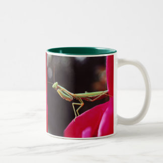 Caneca De Café Em Dois Tons Nós fomos introduzidos?