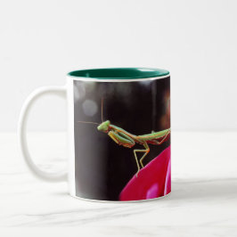 Caneca De Café Em Dois Tons Nós fomos introduzidos?