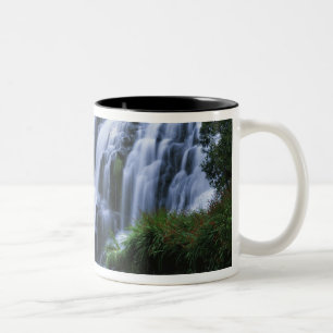 Caneca De Café Em Dois Tons Nova Zelândia, Ilha do Norte, Desfiladeiro de Kara